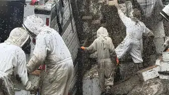 Otoyolda korku dolu anlar: Milyonlarca arı özgürlüğüne kavuştu, evden çıkmayın çağrısı yapıldı