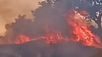 Aydın Efeler’de tarım arazisinde korkutan yangın