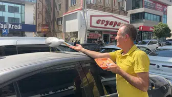Gebze’deki kebapçının çatısından inen martı Pamuk mahalleli oldu