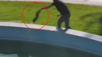 İnegöl meydanında karga kurtarma operasyonu