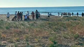 Kocaali sahilinde deniz keyfi kabusa döndü