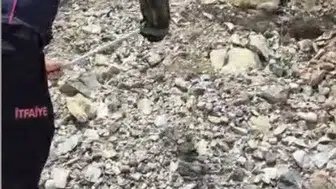 Osmaniyeli ailenin yatak odasında korkutan yılan paniği