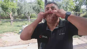 Hatay'da traktörle yol kapatıp kuzenini dövenlere ağır fatura kesildi