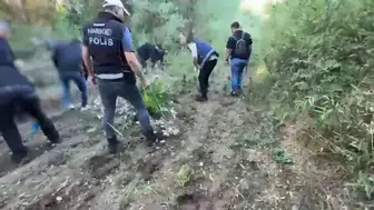 UNESCO mirasındaki Hevsel Bahçeleri'nde devasa kenevir operasyonu