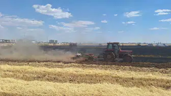 Mardin’de hasat öncesi büyük kayıp