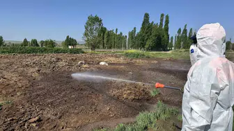 Çorum sokaklarında sinek istilasına karşı belediye mesaisi başladı