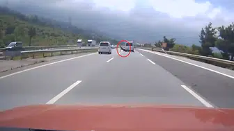 İskenderun otoyolunda angus paniği