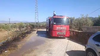 İslahiye’de zeytinlikler alevlere teslim oldu