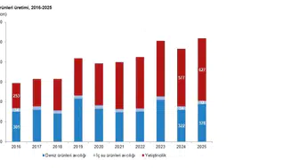 Türkiye denizlerden ve çiftliklerden 1 milyon tonun üzerinde balık topladı
