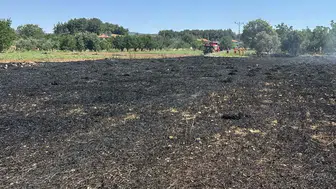 Kuşun elektrik akımına kapılması Muğla’da yangın çıkardı