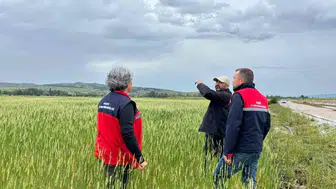 Afyonkarahisar çiftçisi yağışlar sonrası tarlasına koştu