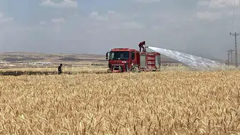Mardin'de hasat zamanı 300 dönüm tarla küle döndü