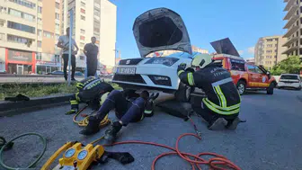 Kayseri'de otomobilin altından sarkan yılan paniği