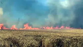 Tekirdağ'da hasat öncesi büyük yangın
