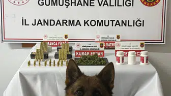 Gümüşhane'deki köy evine narkotik baskını