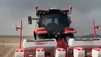 Tomarza kabak çekirdeği için tarlaya indi