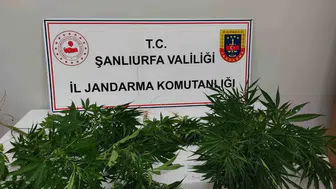 Jandarma Hilvan ve Halfeti’de zehir tacirlerine geçit vermedi