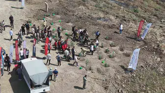 Hatay’ın küle dönen ormanlarında çocuklar bin fidanı toprakla buluşturdu