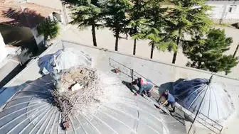 Çorum'da cami kubbesindeki yavru leylek kurtarma operasyonu