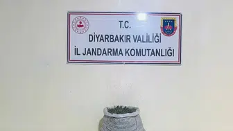 Diyarbakır jandarmasından uyuşturucu operasyonu