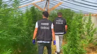 Tekirdağ'da bağ evine düzenlenen uyuşturucu operasyonunda bir kişi tutuklandı