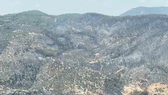 Fethiye ormanlarında 24 saatlik kabus sona erdi