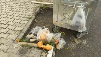 Bolvadin sokaklarında çöpler konteyner dışına atılıyor