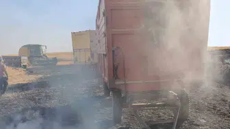 Cizre kırsalında alevlerin arasında kalan çoban yaşam mücadelesi veriyor