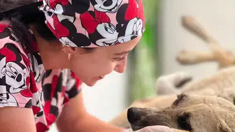 Manisa'da yaralı köpek belediye ekiplerinin müdahalesiyle kurtuldu