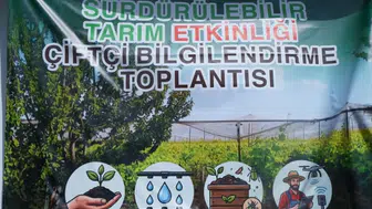 Sarıgöllü üreticilere bağda uygulamalı tarım eğitimi verildi