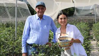Beyaz yakayı bırakıp Urla’da çiftçi oldular