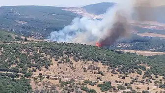 Bornova ormanlarında alevler yükseliyor