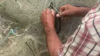 Hatay’da bir buçuk metrelik yılanı ağdan elleriyle kurtardı