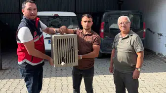 Devrekani’de kanadı kırık leyleği ekipler kurtardı