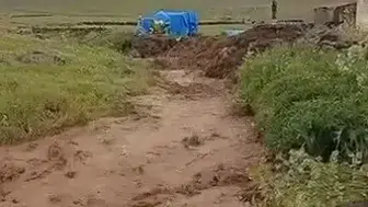 Kars’ta aşırı yağışlar köyü sular altında bıraktı