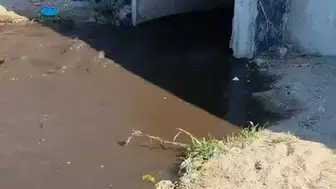 Mudanya sahilinde denize kanalizasyon akıtıldı