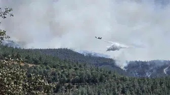 Balıkesir Susurluk’ta orman yangını paniği