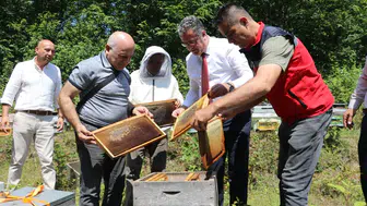 Samsun Salıpazarı'nda kestane balı mesaisi başladı