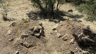 Kastamonu'da kiraz yedikten sonra hayatını kaybeden çift toprağa verildi