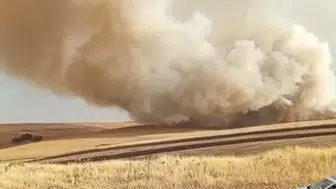 Mazıdağı tarlalarında yükselen alevlere karşı seferberlik başladı