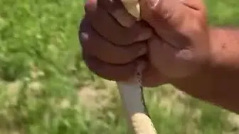 İnegöllü çiftçi traktörle çalışırken karşılaştığı yılanı elleriyle kurtardı
