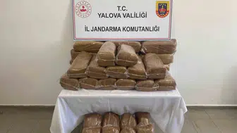 Yalova jandarmasından kaçak tütün operasyonu