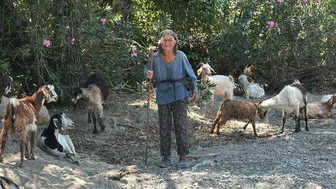 Muğla’da 90 yaşında bir kadın her gün sürüsüyle meraya çıkıyor