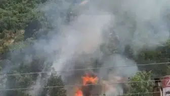 Tosya’da yerleşim yerine yakın noktada orman yangını paniği