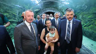 Bakan Çiftçi Kocaeli'de sokak hayvanları için verileri paylaştı
