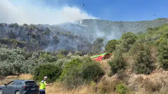 Yalova Armutlu'da orman yangını başladı