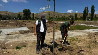 Tarihi Şahruh Köprüsü çevresine 25 bin metrekarelik yeni yaşam alanı