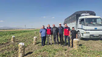 Çölovası’nda patates hasat mevsimi yüzleri güldürdü
