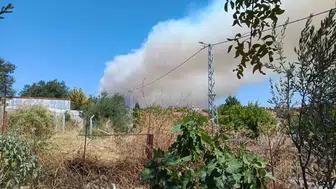 Balıkesir Gömeç ormanlarında alevler rüzgarla büyüyor
