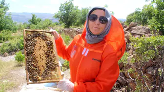 Kanserle savaşan Zehra Kocabaş şifayı arı kovanlarında buldu